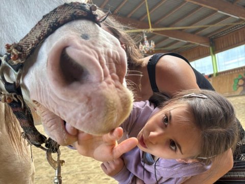 Kind wird unterstützt beim Spielen mit einem Pferd