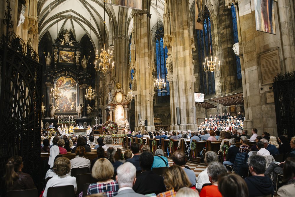 Innenansicht im Wiener Stephansdom bei einem Gottesdienst der Ordensspitäler.